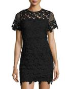 Short-sleeve Embroidered Lace Dress Black