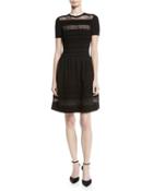 Lace-trim Short-sleeve Knit Fit & Flare Dress