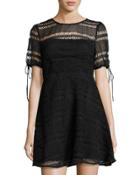 Eden Lace Fit & Flare Dress, Black