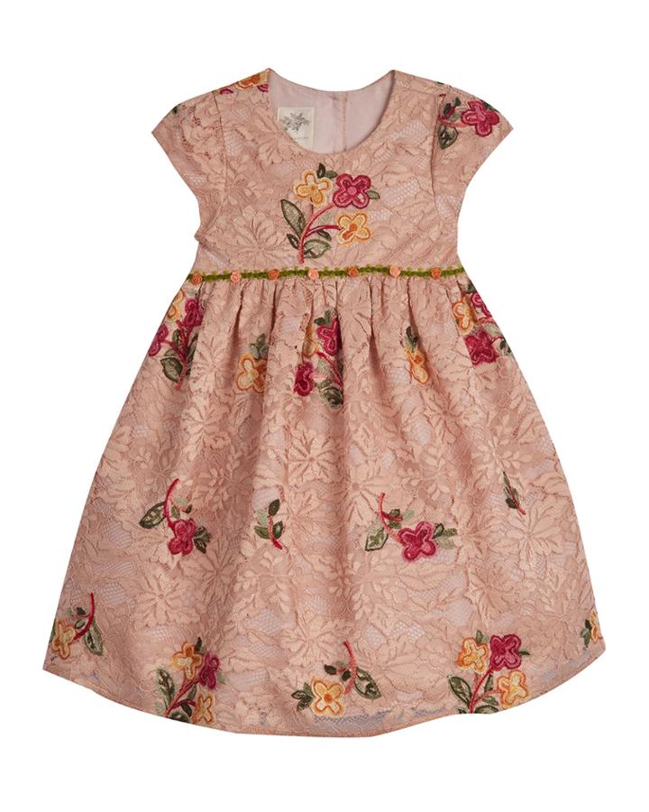 Floral Embroidered Lace Dress,
