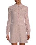 Long-sleeve Mini Lace