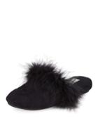 Molly Marabou