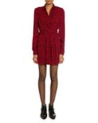 Leopard-print V-neck Polo Dress