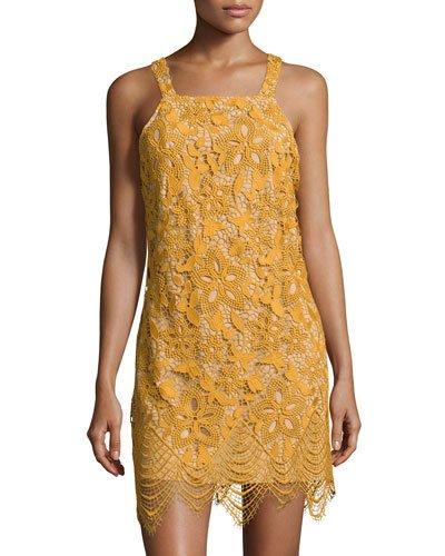 Orleans Lace Mini Dress, Gold