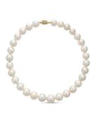 Elegant 14k Large Freshwater Pearl Necklace,