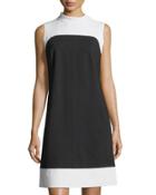 Mock-neck Wool Colorblock Dress
