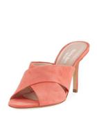 Stella Suede Cross-band