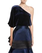Craven One-shoulder Velvet Top