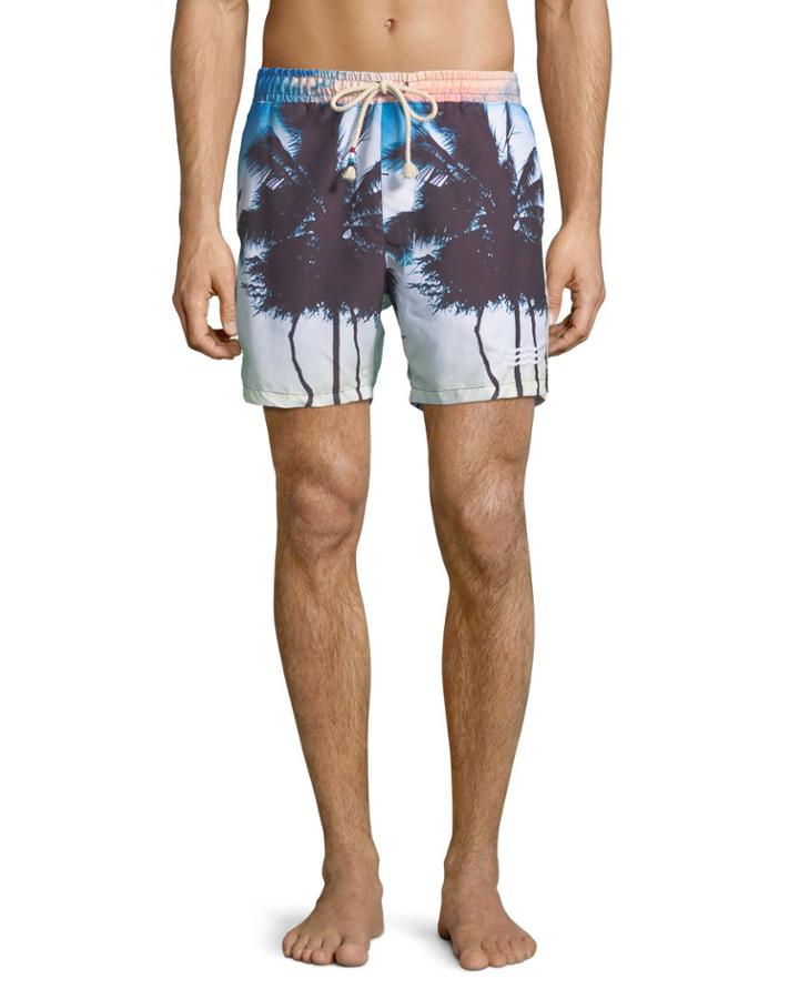Off Tropic Palm Tree