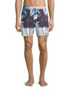 Off Tropic Palm Tree