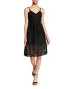 Bellissimo Lace