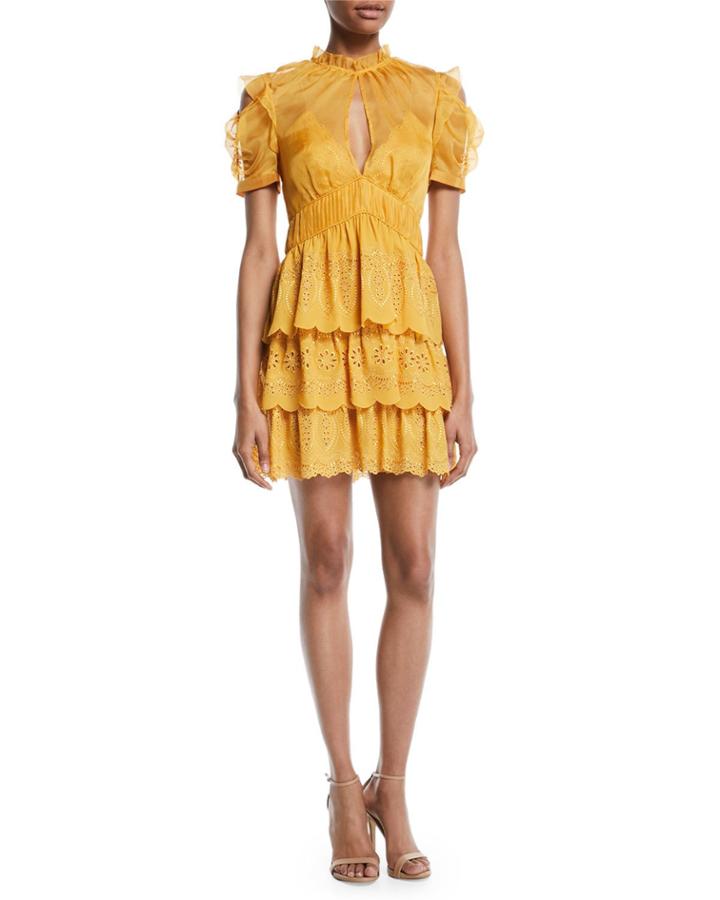 Embroidered Chiffon Tiered