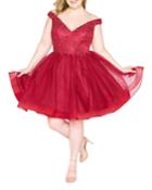 Plus Size Embroidered Lace Off-the-shoulder Tulle Dress