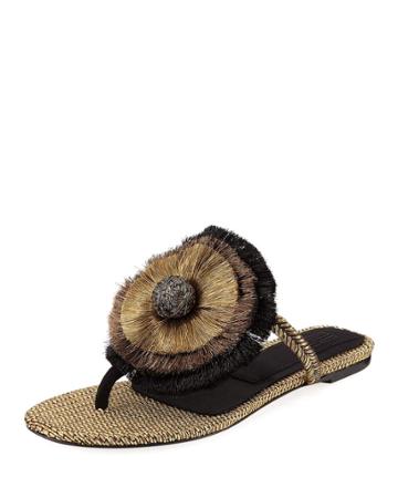 Zarina Flat Thong