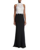 Beaded Sleeveless Mock-neck Combo Gown, Black/white