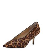 Dallonly Leopard Print Calf-hair Kitten Pumps