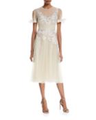 Metallic Lace V-neck Illusion Cocktail Dress