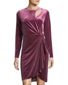 Long-sleeve Velvet Dress