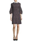 Printed Detachable-collar A-line Dress, Crimson/multi