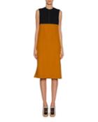Sleeveless Colorblock Dress