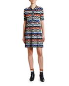 Pleated Zigzag Polo Dress