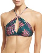 Leaves Keyhole Halter Swim Top, Green