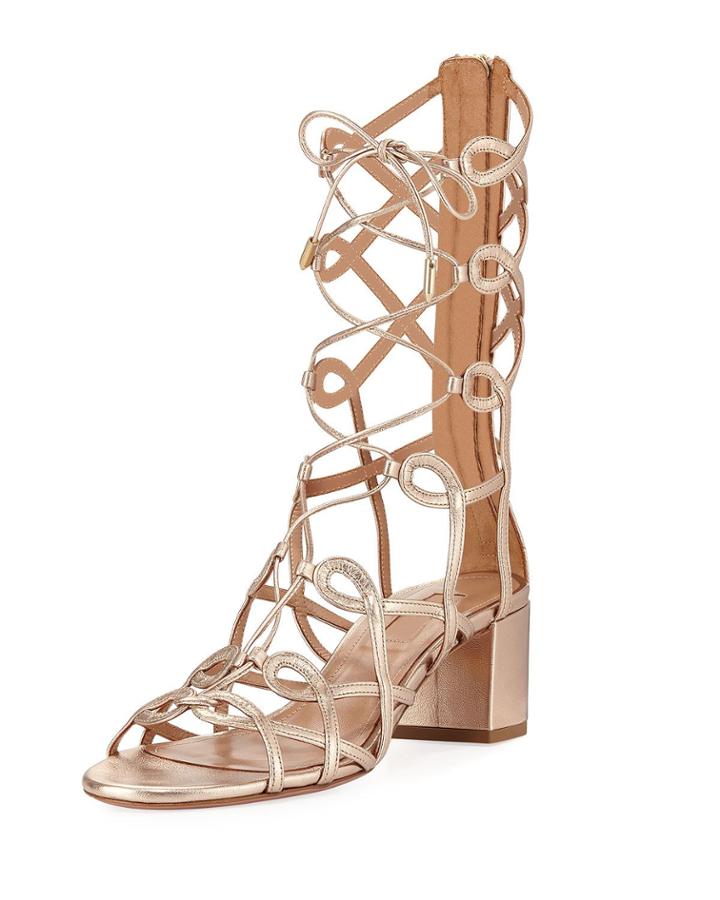 Mumbai Metallic Gladiator