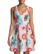Mitered Stripe Floral Fit & Flare Dress