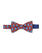 Pre-tied Polka-dot Bow Tie, Red/blue
