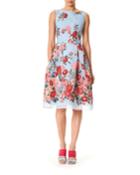 Sleeveless High-neck Floral-print Day Dress