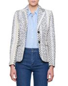 Fenice Striped Jacquard Blazer