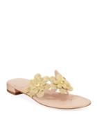 Livewire Metallic Floral Flat