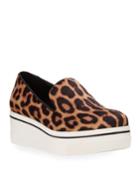Binx Leopard Platform