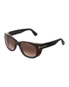 Square Acetate Sunglasses, Dark Bown
