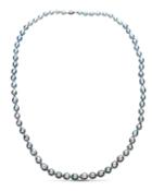 Classic 14k White Gold Multi-pearl Necklace,