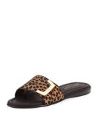 Bolt Leopard Slide Sandal, Black/brown