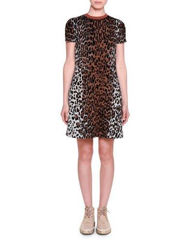 Short-sleeve Leopard-print