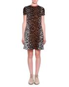 Short-sleeve Leopard-print