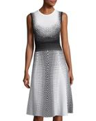 Ombr&eacute; Polka-dot Crewneck Dress, Black/white