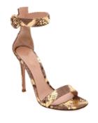Portofino Python