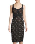 Gardenia Lace