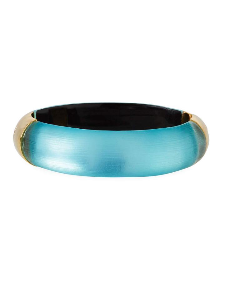Encased Lucite&reg; Hinged Bracelet