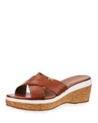 Briella Grand Cork Slide Sandal, Brown/white
