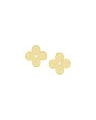 Clover Nugget