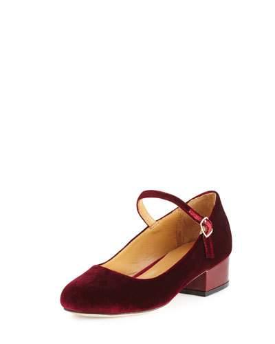 Dion Velvet