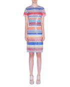 Sequined Stripe-embroidered Dress