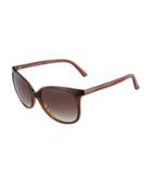 Striped Acetate Sunglasses, Brown