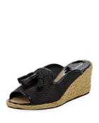 Charo Platform Slide