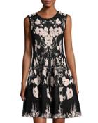Floral-print Knit Fit & Flare Dress, Black/pink
