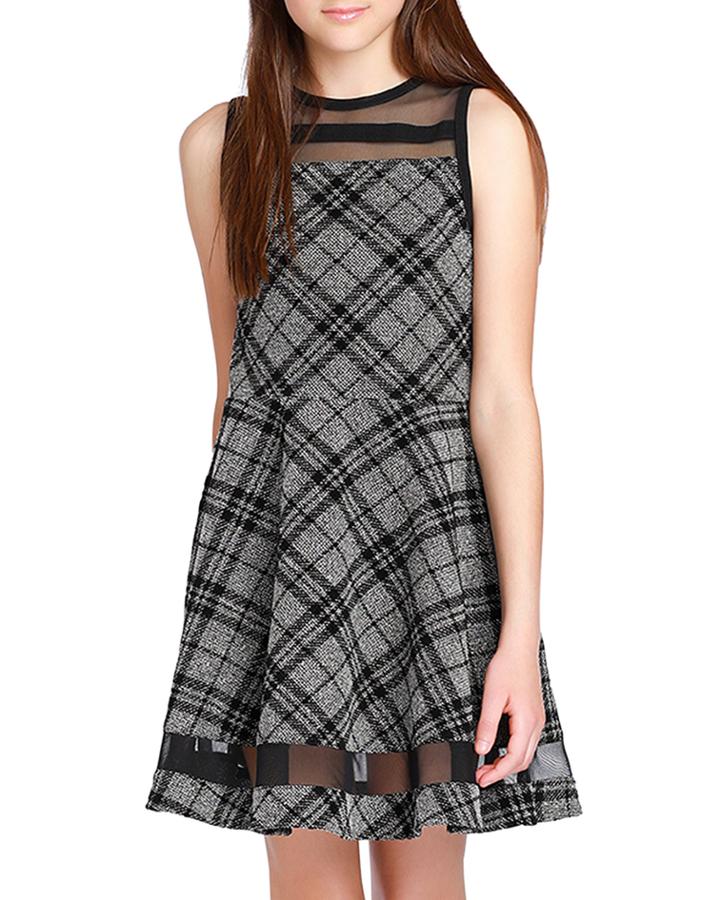Girl's The Emerson Check Mesh Trim Dress,
